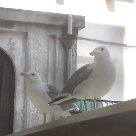 Al Castello 3* Peschici